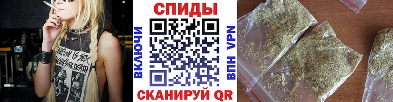 дарнет шоп  Павловский Посад  БУТИРАТ буратино 
